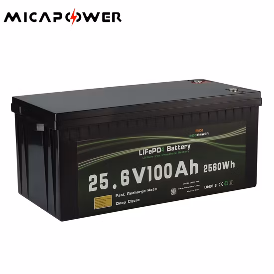 New Arrival 100ah 150ah 200ah Lithium Iron Phosphate (LiFePO4) Battery Storage S RV Special Lithium Iron Phosphate Battery Pack