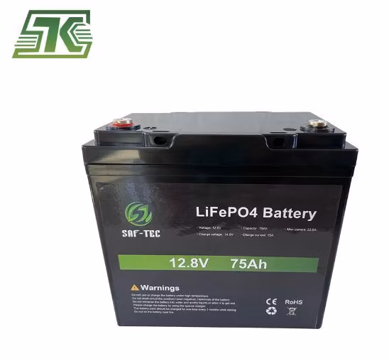 Tycorun Rechargeable Lithium Solar Battery Pack 48V 50ah 100ah 150ah 200ah 400ah 500ah Li-ion/Lithium Ion LiFePO4 Battery for UPS Inverter Energy Storage